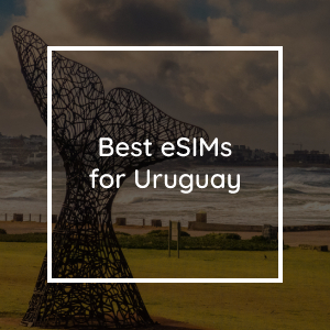 The 5 Best eSIMs for Uruguay in 2023