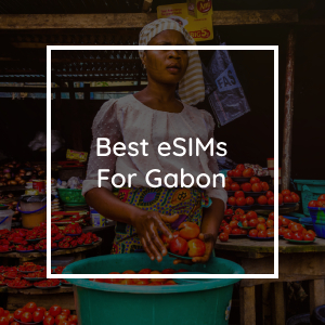 The 5 Best eSIMs for Gabon in 2023