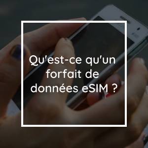 What Is An eSIM Data Plan?