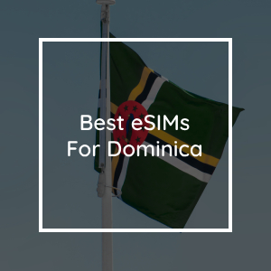 The 5 Best eSIMs for Dominica in 2023