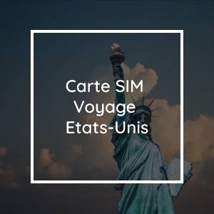 Carte SIM de voyage USA : comment accéder à Internet pendant votre voyage