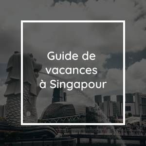 Organisez le voyage parfait à Singapour | Guide de vacances à Singapour