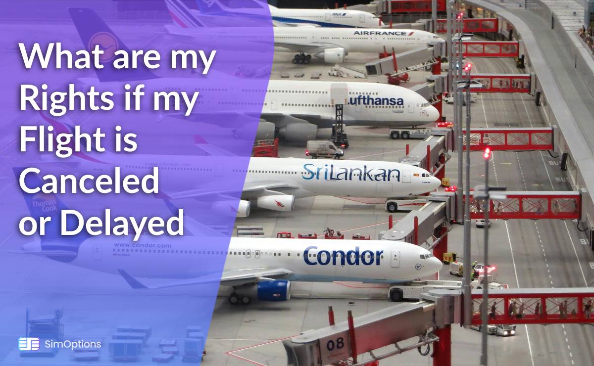 What are my Rights if my Flight is Canceled or Delayed